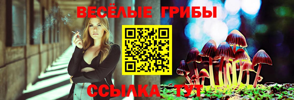 Галлюциногенные грибы мицелий  Псилоцибиновые грибы прущие грибы  Барабинск  Вход с VPN 